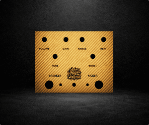 Pro-Grade Aluminum Control Panel for 1590BB2 John Mayer Tribute